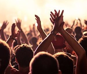 Festival Organiser Insurance